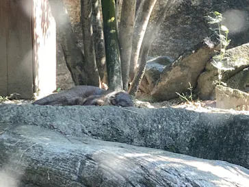 ひらかたパークに投稿された画像（2024/6/13）