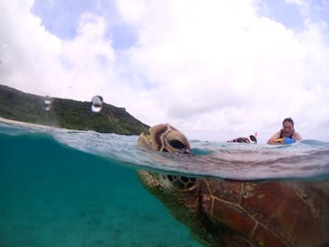 初心者専門宮古島シュノーケリングツアーに投稿された画像（2024/6/13）