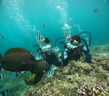 沖縄マリンサービス碧に投稿された画像（2024/6/13）