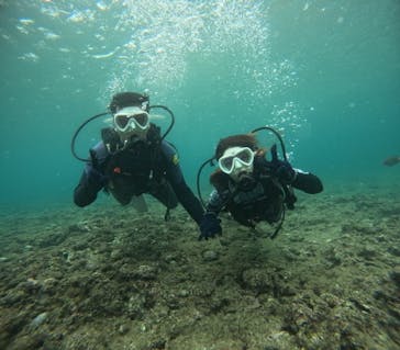 沖縄マリンサービス碧に投稿された画像（2024/6/13）