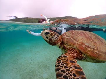 宮古島マリンショップSmileyに投稿された画像（2024/6/13）