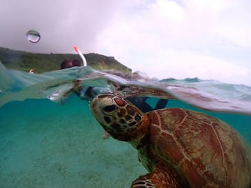 宮古島マリンショップSmileyに投稿された画像（2024/6/13）