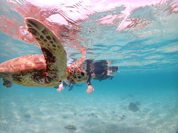 宮古島マリンショップSmileyに投稿された画像（2024/6/13）