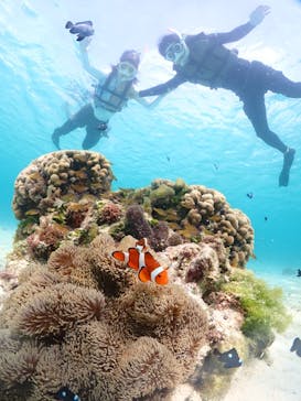 宮古島マリンショップSmileyに投稿された画像（2024/6/13）