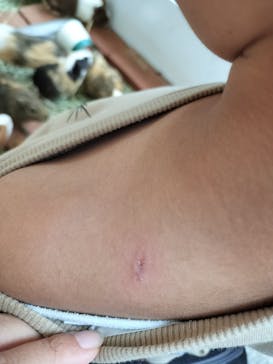 おさるランド＆アニタウン　日光さる軍団劇場に投稿された画像（2024/6/13）