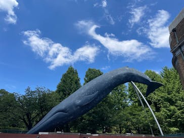 国立科学博物館に投稿された画像（2024/6/13）