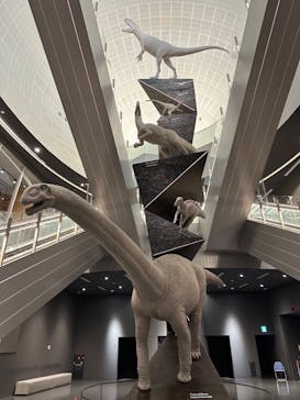 福井県立恐竜博物館に投稿された画像（2024/6/13）