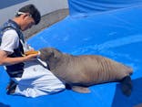 大分マリーンパレス水族館 「うみたまご」に投稿された画像（2024/6/13）