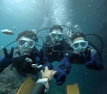 沖縄マリンサービス碧に投稿された画像（2024/6/13）