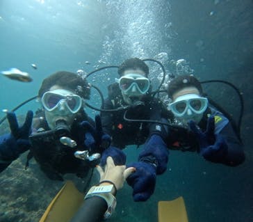 沖縄マリンサービス碧に投稿された画像（2024/6/13）