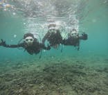 沖縄マリンサービス碧に投稿された画像（2024/6/13）