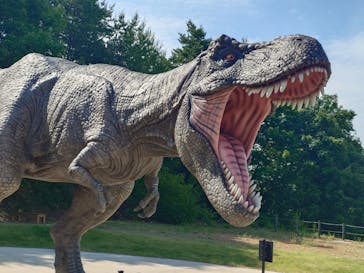 福井県立恐竜博物館に投稿された画像（2024/6/13）