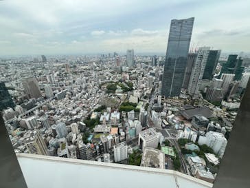 東京タワーに投稿された画像（2024/6/13）
