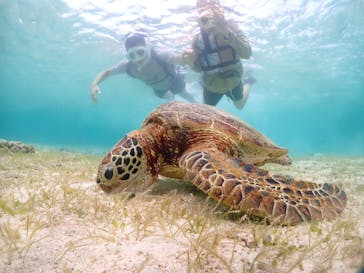 宮古島マリンショップSmileyに投稿された画像（2024/6/13）