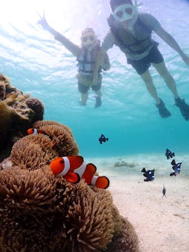 宮古島マリンショップSmileyに投稿された画像（2024/6/13）