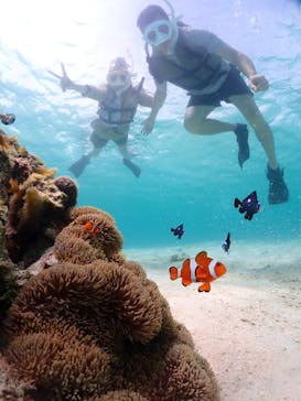 宮古島マリンショップSmileyに投稿された画像（2024/6/13）