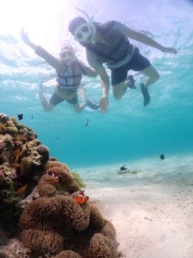 宮古島マリンショップSmileyに投稿された画像（2024/6/13）