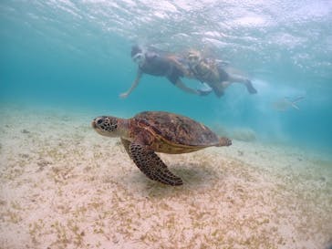 宮古島マリンショップSmileyに投稿された画像（2024/6/13）