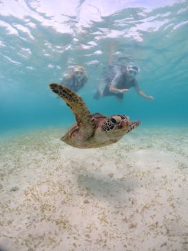 宮古島マリンショップSmileyに投稿された画像（2024/6/13）