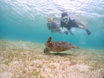 宮古島マリンショップSmileyに投稿された画像（2024/6/13）