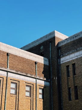 国立科学博物館に投稿された画像（2024/6/13）