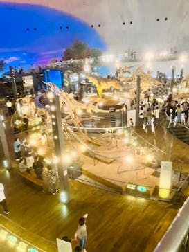 福井県立恐竜博物館に投稿された画像（2024/6/13）