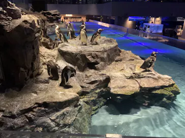 すみだ水族館に投稿された画像（2024/6/13）