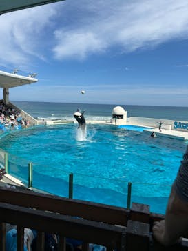 鴨川シーワールドに投稿された画像（2024/6/13）