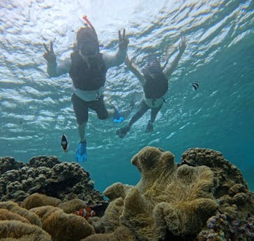 宮古島 ADVENTURE PiPi（ミヤコジマ アドベンチャー ピピ）に投稿された画像（2024/6/13）