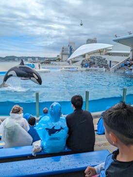 鴨川シーワールドに投稿された画像（2024/6/13）