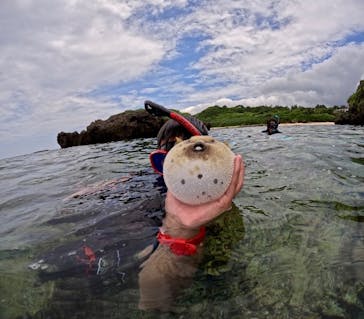 西表島 ADVENTURE PiPi（アドベンチャーピピ）に投稿された画像（2024/6/13）