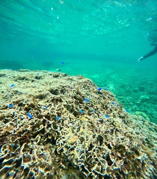 西表島 ADVENTURE PiPi（アドベンチャーピピ）に投稿された画像（2024/6/13）