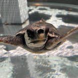 AOAO SAPPOROに投稿された画像（2024/6/13）