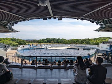 京都水族館に投稿された画像（2024/6/13）