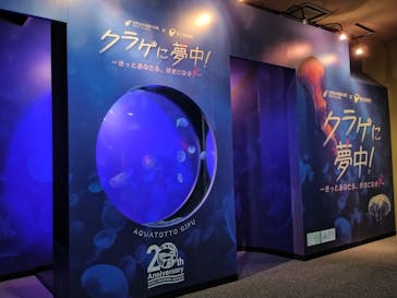 世界淡水魚園水族館　アクア・トトぎふに投稿された画像（2024/6/13）