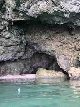 石垣島 ADVENTURE PiPi（イシガキジマアドベンチャーピピ）に投稿された画像（2024/6/13）