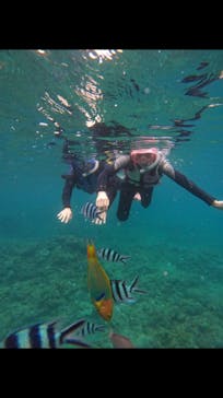 武藤潜水に投稿された画像（2024/6/13）