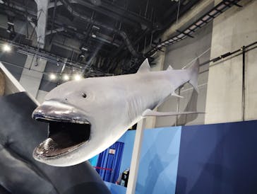 特別展「海　―生命のみなもと―」名古屋市科学館に投稿された画像（2024/6/14）