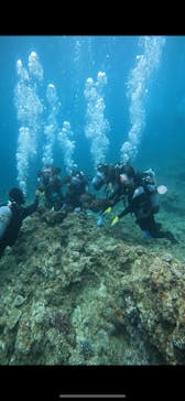 武藤潜水に投稿された画像（2024/6/14）