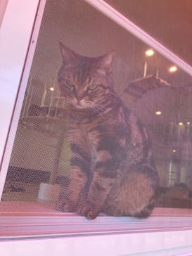 つくばわんわんランドに投稿された画像（2024/6/14）