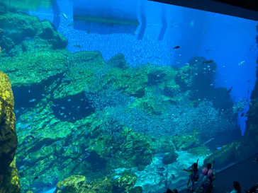 仙台うみの杜水族館に投稿された画像（2024/6/14）