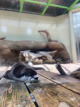 仙台うみの杜水族館に投稿された画像（2024/6/14）