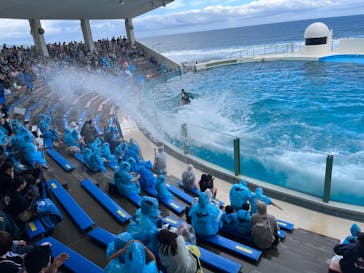 鴨川シーワールドに投稿された画像（2024/6/14）