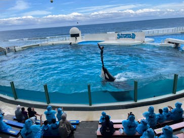 鴨川シーワールドに投稿された画像（2024/6/14）