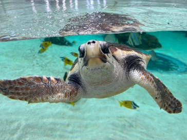 鴨川シーワールドに投稿された画像（2024/6/14）