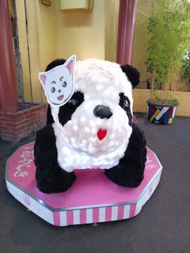 浅草花やしきに投稿された画像（2024/6/14）