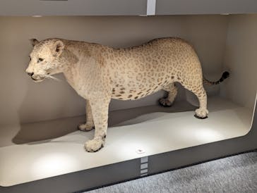 特別展「大哺乳類展３－わけてつなげて大行進」に投稿された画像（2024/6/14）