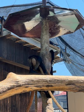 那須サファリパークに投稿された画像（2024/6/14）