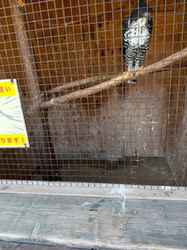 那須サファリパークに投稿された画像（2024/6/14）