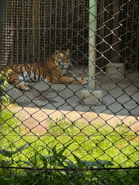 那須サファリパークに投稿された画像（2024/6/14）